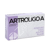 ARTROLIGO A AMPOLLAS  - PLANTIS