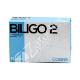BILIGO 02 COBRE 20AMP - PLANTIS