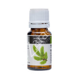 CEDRO ACEITE ESENCIAL 10ML - PLANTIS