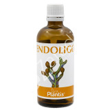 ENDOLIGO - PLANTIS