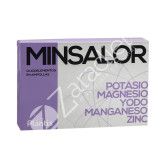 MINSALOR 20AMP - PLANTIS
