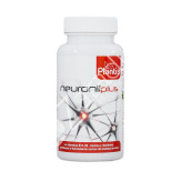 NEURONIL PLUS (MEMORIA) 60CAP - PLANTIS