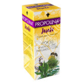 PROPOLINA JARABE 200ML - PLANTIS