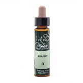 REMEDIO EXAMENES 10ML - PLANTIS