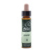 REMEDIO EXAMENES 10ML - PLANTIS