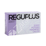 REGUPLUS 20AMP - PLANTIS
