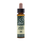 CASTAÑO INDIAS 10ML - PLANTIS