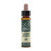 CASTAÑO INDIAS 10ML - PLANTIS