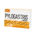 PYLOGASTRIS 90CAP - PLANTIS
