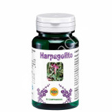HARPAGOFITO 60COMP