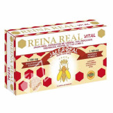 JALEA REINA REAL VITAL 30AMP