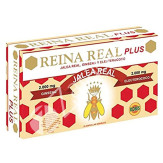 JALEA REINA REAL PLUS 20AMP