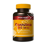 COENZIMA Q 10 30MG 30CAP