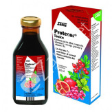 PROTECOR 250ML