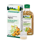 JENGIBRE BIO 200ML