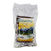 CARAMELOS INTEGRALES 1KG REGALIZ - SILVESTRE
