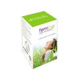 FEMICUP COPA MENSTRUAL GRANDE TALLA M - SILVESTRE