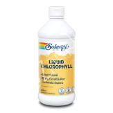 CLOROFILA LÍQUIDA 480ML - SOLARAY