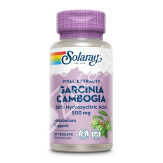 GARCINIA CAMBOGIA 500MG 60CAP - SOLARAY