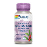 MASTIC GUM 500MG 45CAPVEG - SOLARAY