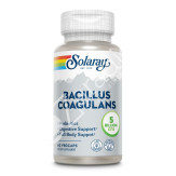 BACILLUS COAGULANS 60VEGCAPS - SOLARAY