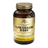 ASTRAGALUS CHINO 500MG 100CAP VEGETALES