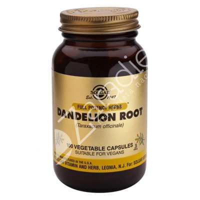 DIENTE LEON 520MG 100CAP VEGETALES