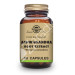 ASHWAGANDHA 60 CAPS