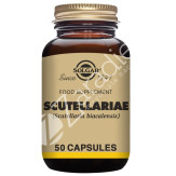 ESCUTELARIA 520MG 50CAP VEGETALES