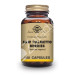 SAW PALMETO 100CAP VEGETALES