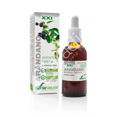 ARANDANO EXTRACTO XXI CON DOSIFICADOR 50ML