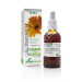 CALENDULA EXTRACTO XXI CON DOSIFICADOR 50ML