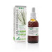 COLA CABALLO EXTRACTO XXI CON DOSIFICADOR 50ML