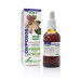 COMPOSOR 20 HARPACOMPLEX  XXI 50ML