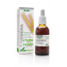 DROSERA EXTRACTO XXI CON DOSIFICADOR 50ML