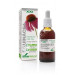 EQUINACEA EXTRACTO XXI CON DOSIFICADOR 50ML