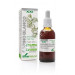 ESPINO BLANCO EXTRACTO XXI CON DOSIFICADOR 50ML