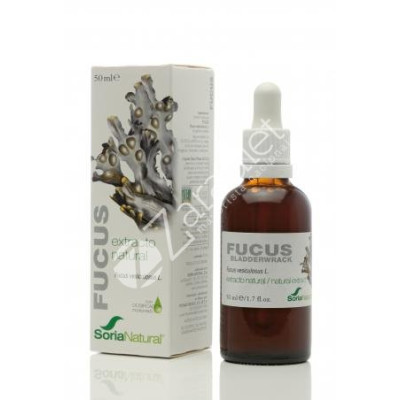FUCUS EXTRACTO XXI CON DOSIFICADOR 50ML