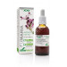 FUMARIA EXTRACTO XXI CON DOSIFICADOR 50ML