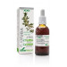 GAYUBA EXTRACTO XXI CON DOSIFICADOR 50ML