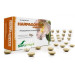 HARPAGOFITO 600MG 60COMP