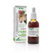 HARPAGOFITO EXTRACTO XXI CON DOSIFICADOR 50ML