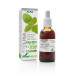 MELISA EXTRACTO XXI CON DOSIFICADOR 50ML