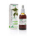 ORTIGA VERDE EXTRACTO XXI CON DOSIFICADOR 50ML