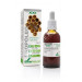 PROPOLEO EXTRACTO XXI CON DOSIFICADOR 50ML