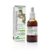 ROMPEPIEDRA EXTRACTO XXI CON DOSIFICADOR 50ML