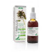 TOMILLO EXTRACTO XXI CON DOSIFICADOR 50ML
