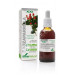 ZARZAPARRILLA EXTRACTO XXI CON DOSIFICADOR 50ML