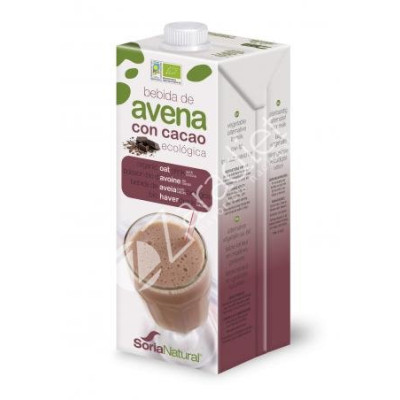 BEBIDA AVENA CACAO ECO 1L