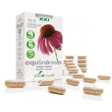 EQUINACEA 16 690MG 30CAP